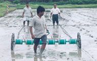 Drum Seeder