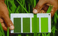 Leaf Colour Chart