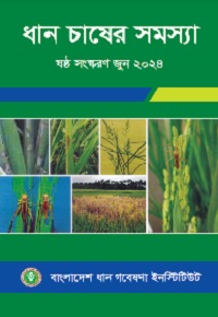 Rice production problems